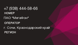 9384445866